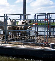 2006-06-18-k 2006-06-18-k